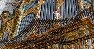 8º Ciclo de Órgano en la Catedral Nueva con cuatro conciertos con entrada gratuita