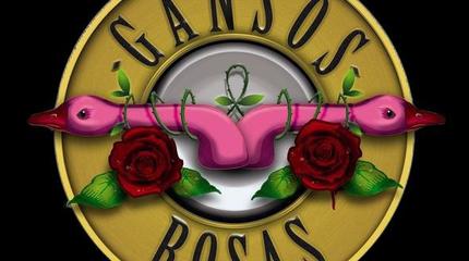MUSICA - Gansos rosas
