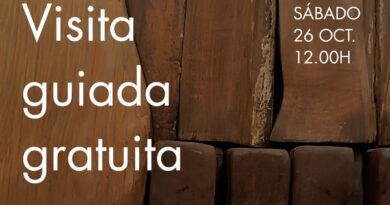 Visitas guiadas gratuitas a la Sala de Exposiciones de Santo Domingo para descubrir el legado de Venancio Blanco