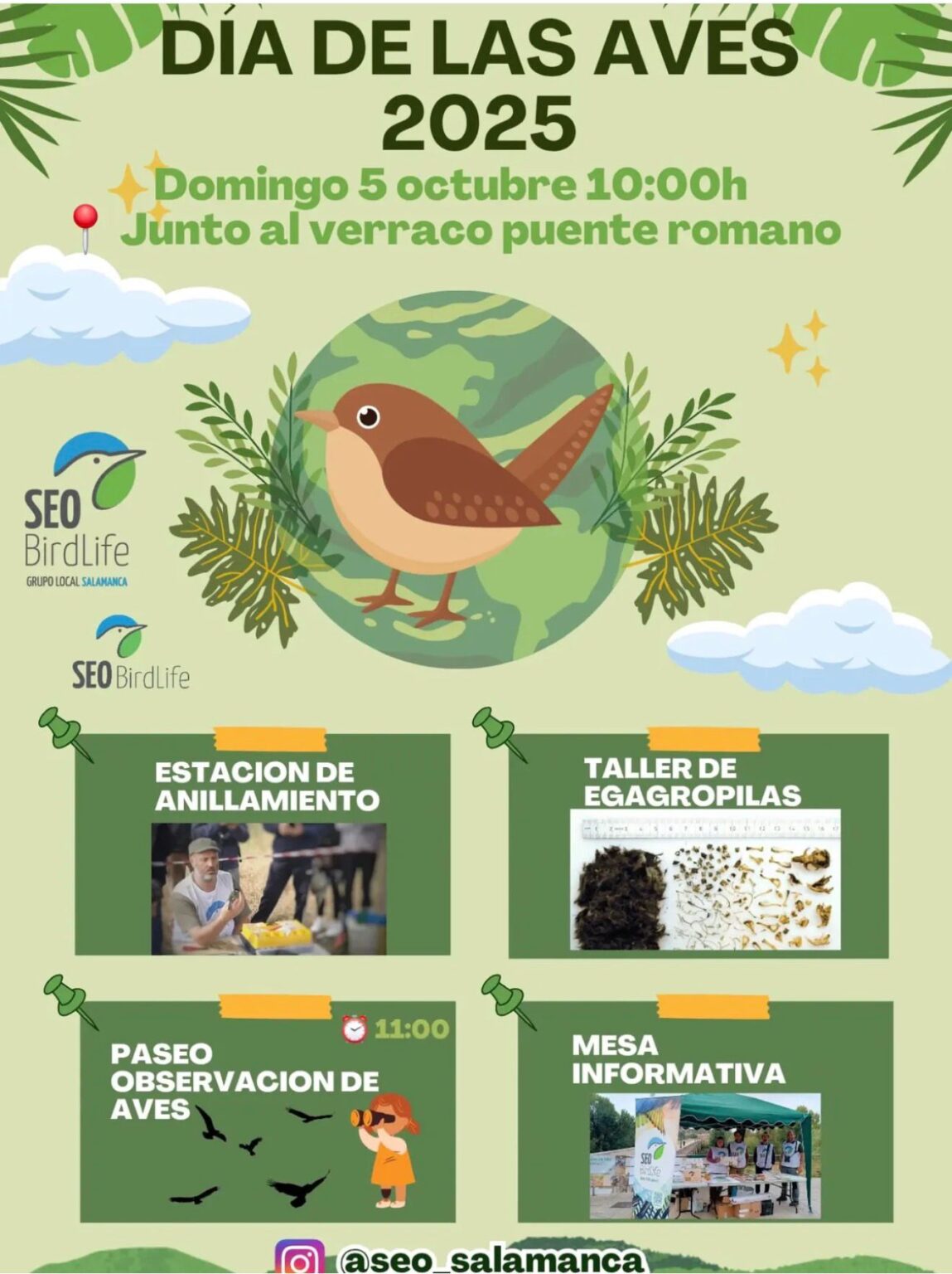 Avess NATURALEZA- Dia de las avess – Salamanca Vivela